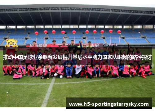 推动中国足球业余联赛发展提升基层水平助力国家队崛起的路径探讨